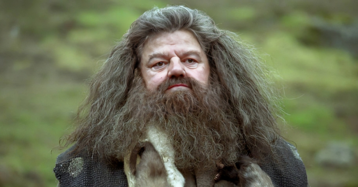 Hagrid's Secret: Why He's Not Really Poor After All