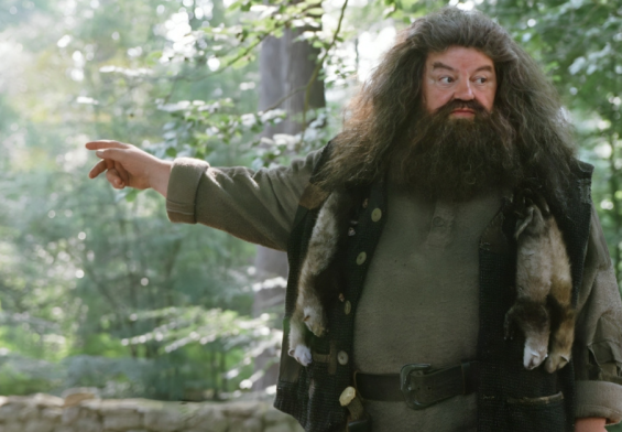 What really happened to Hagrid's wand? The answer will shock you!