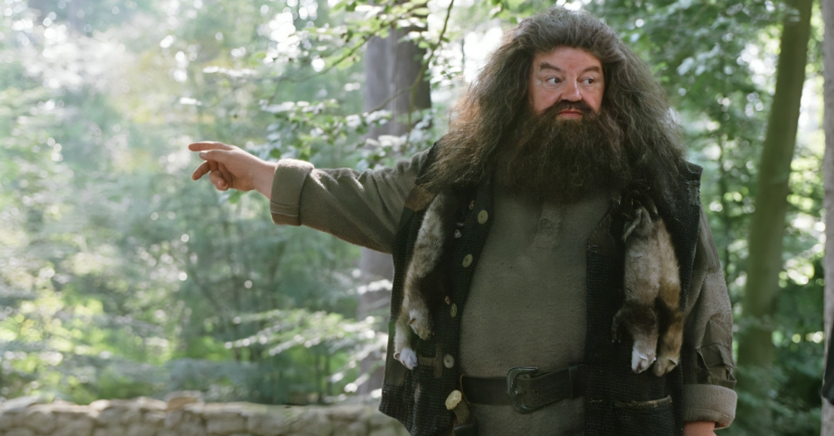 What really happened to Hagrid's wand? The answer will shock you!