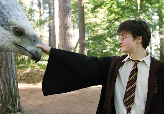 Discover Secrets of the Wizarding World: Unveiling Major Events Before Harry Potter