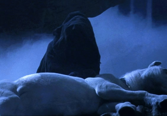 Why Unicorn Blood Stayed So Rare and Sacred—A Magical Secret