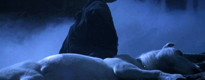 Why Unicorn Blood Stayed So Rare and Sacred—A Magical Secret