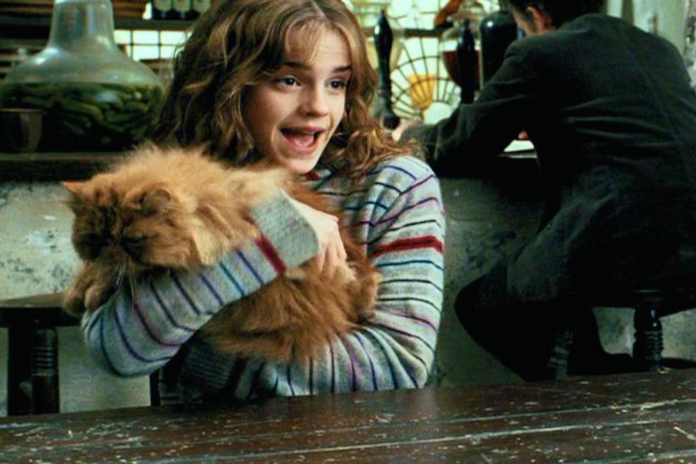 The Hidden Meaning Behind Hermione’s Cat Crookshanks