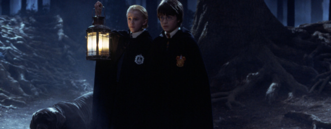 Why the Forbidden Forest Is More Important Than You Realize