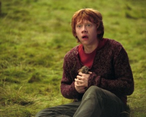 Why Ron’s Broken Wand Wasn’t an Accident