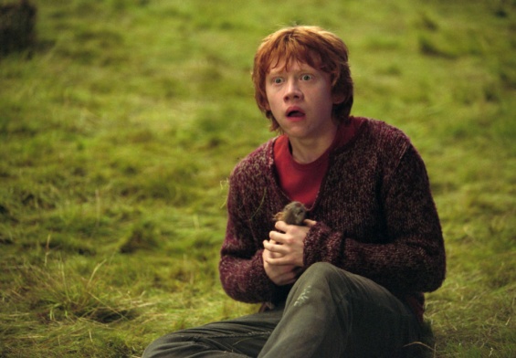 Why Ron’s Broken Wand Wasn’t an Accident