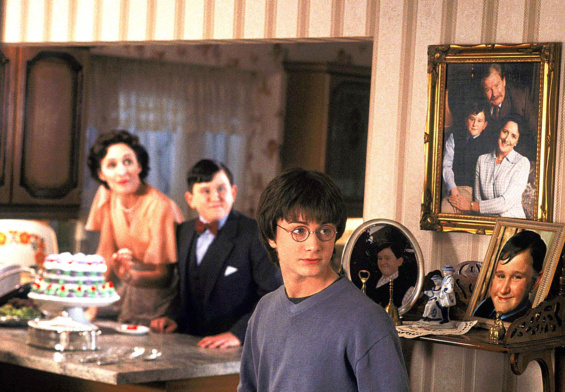 Did The Dursleys Treat Harry Like Garbage Because He Was A Horcrux?